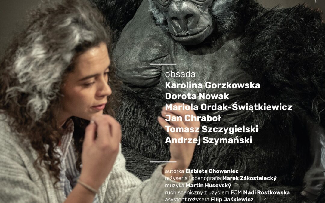 Migająca gorylica w opolskim teatrze