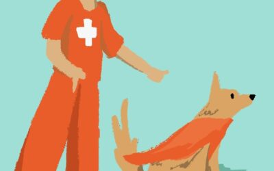 Pies ratownik – bohater na wagę złota